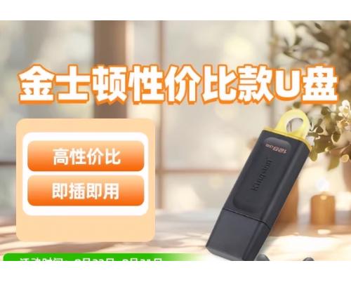 金士顿64g